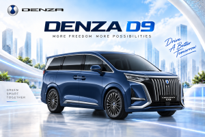 DENZA D9